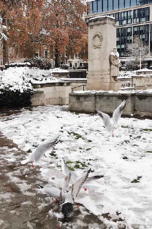 Snow in London