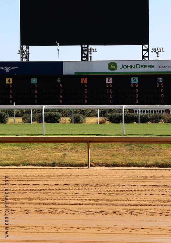 Kentucky Derby Horse Tracks