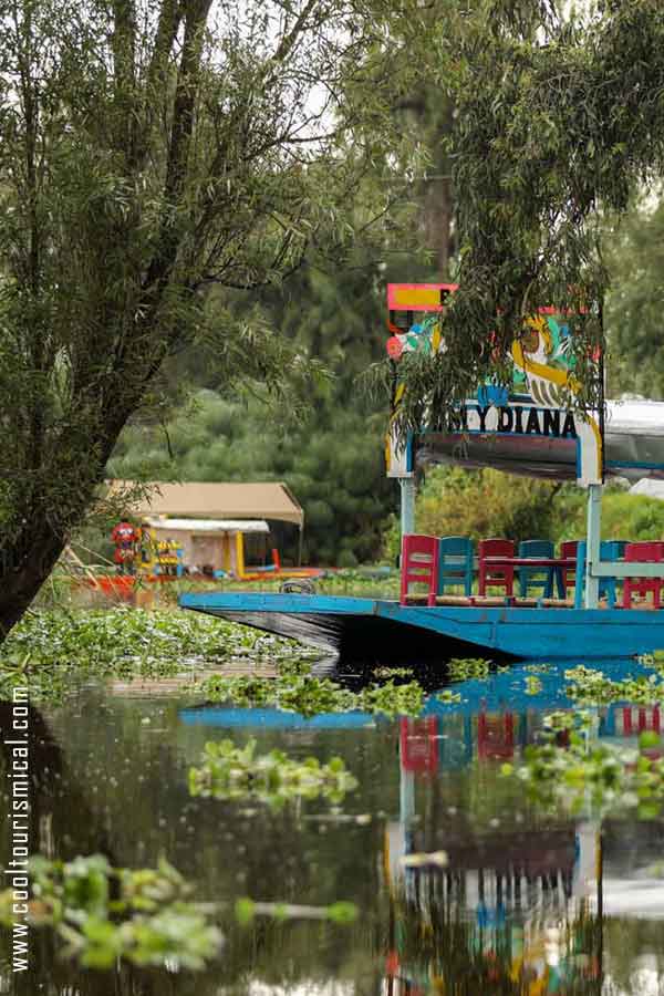 Trajineras-in-Xochimilco-Floating-Gardens