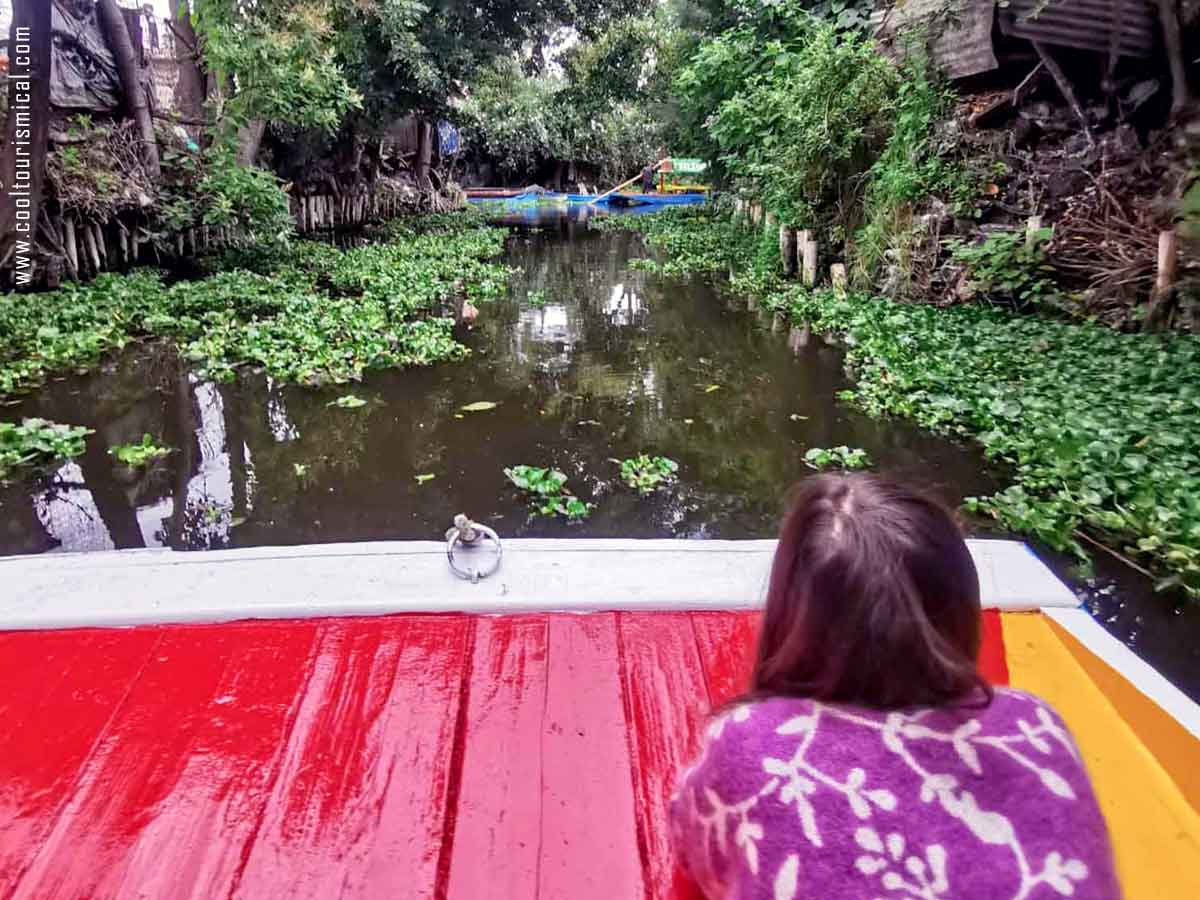 Visiting Xochimilco Canals Protected Area