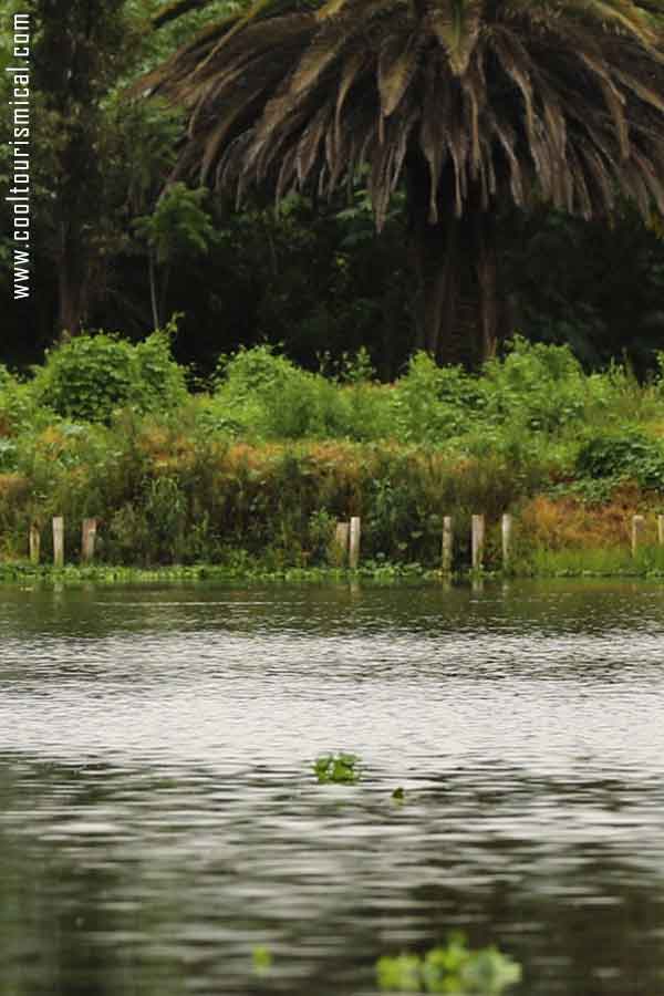 Xochimilco Chinampas