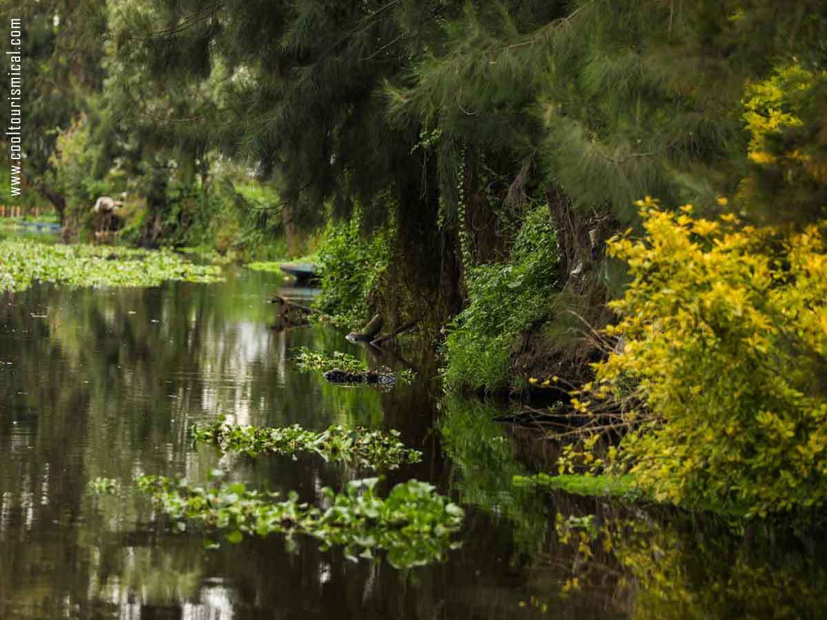 Visiting Xochimilco Floating Gardens and Canals in September