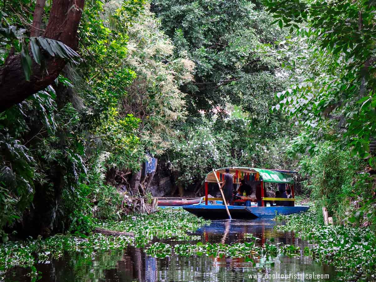 Trajinera in Xochimilco Protected Area - Ecopark